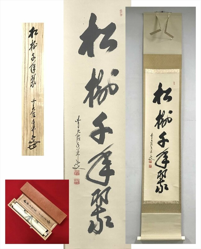 【千寿】大徳寺派 興臨院 大橋香林 松寿千年翠 紙本 d191◆箱/茶道具/古美術/時代品/掛軸/100016917