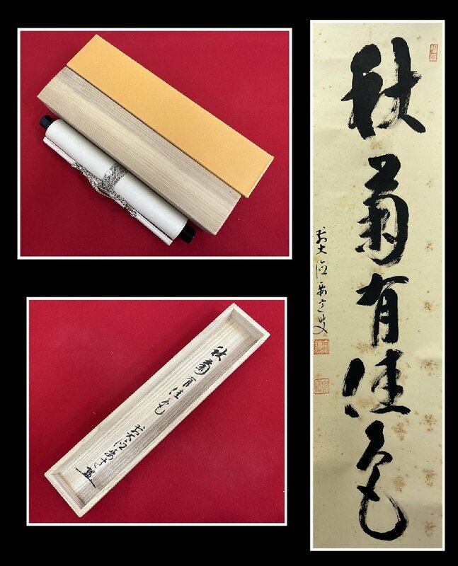 【千寿】宗鏡寺 雪尾要道 秋菊有佳色 一行書 紙本 dd11◆箱/茶道具/古美術/時代品/2本まで同梱可/100013512