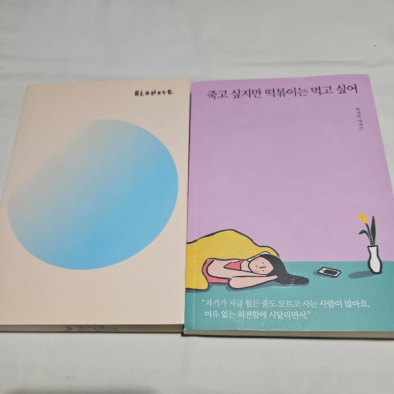 『死にたいけどトッポギは食べたい』『BLONOTE』2冊セット　韓国語版　韓国語学習　古本　タブロ　epikhigh