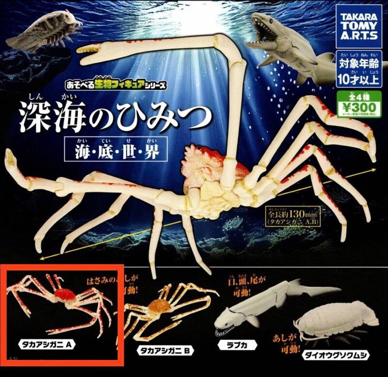 ■未開封新品深海のひみつ あそべる生物フィギュアシリーズよりタカアシガニA(全長130㎜)★タカラトミーアーツ★深海生物★ガシャポン