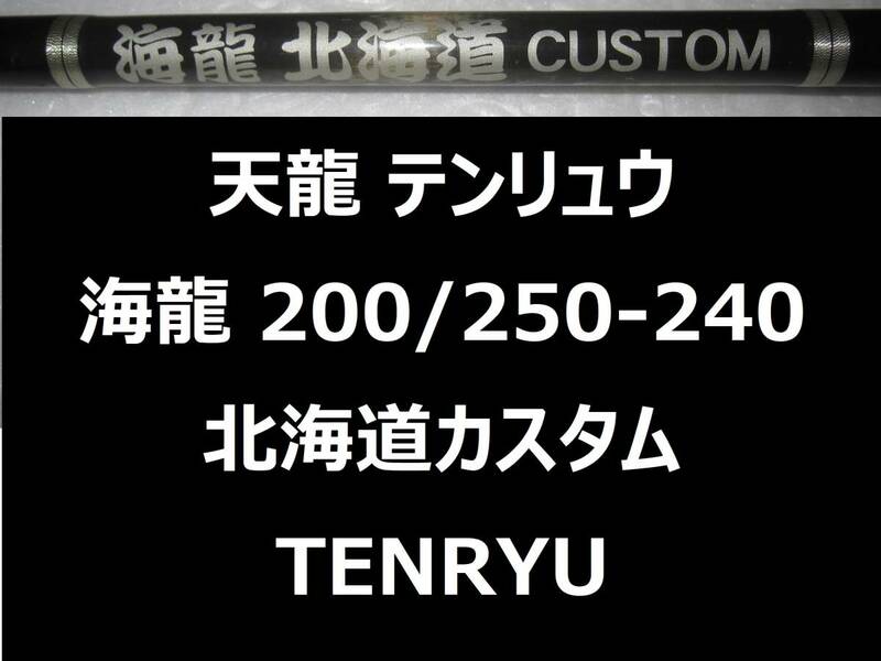 天龍 テンリュウ 海龍 北海道カスタム 200/250-240 TENRYU