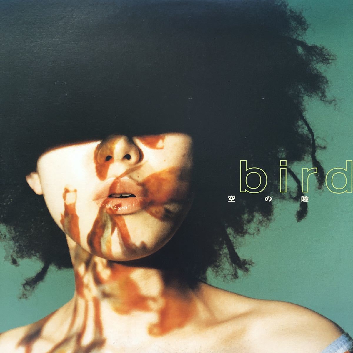 T 12インチ bird 空の瞳 LP 大沢伸一 レコード 5点以上落札で送料無料