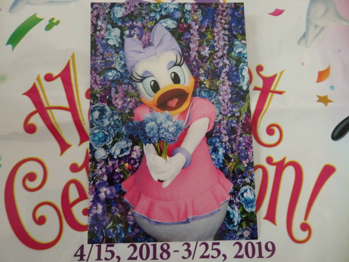 即決☆新品☆限定 東京ディズニーリゾート 蜷川実花 コラボ Imagining the Magic 実写 デイジー ポストカード 2018♪TDR TDL35周年記念 TDS