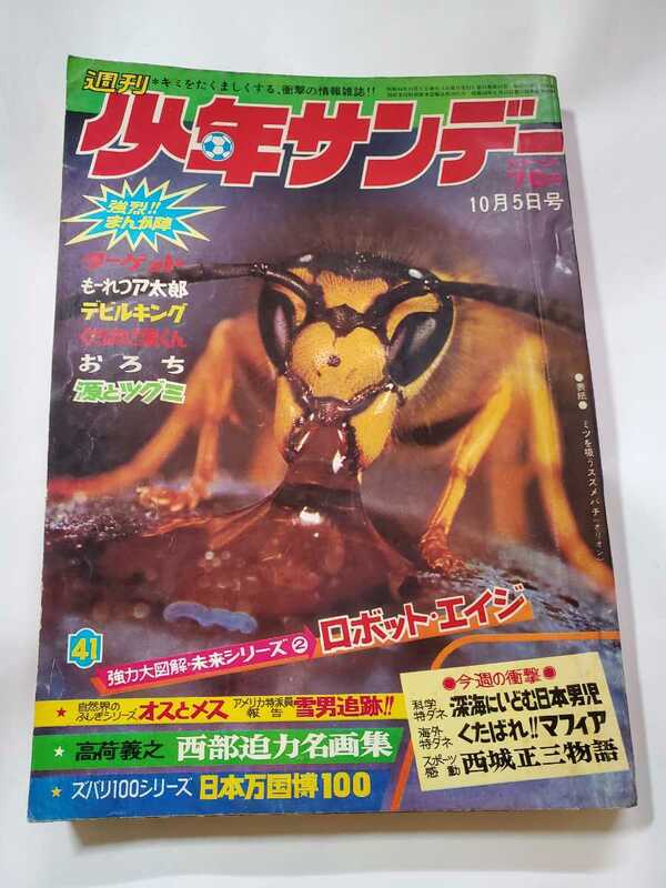7396-10　 少年サンデー　1969年 昭和44年　10月5日　４１号 