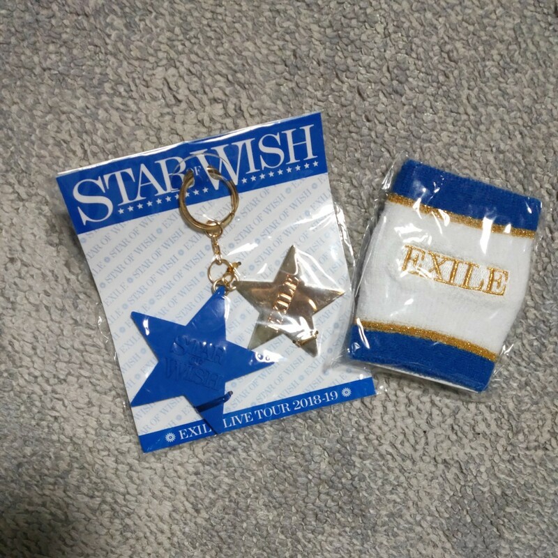 ★新品未開封！EXILE LIVE TOUR 2018-2019☆STAR OF WISH☆STAR OF WISH リストバンド＆キーホルダー