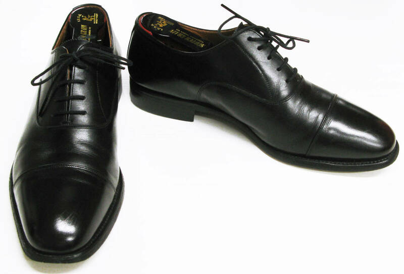 SCOTCH GRAIN Straight Tip ASSURANCE 25EEE BLACK Shoes MADE in JAPAN （ スコッチグレイン ストレートチップ 革靴 25cm 黒