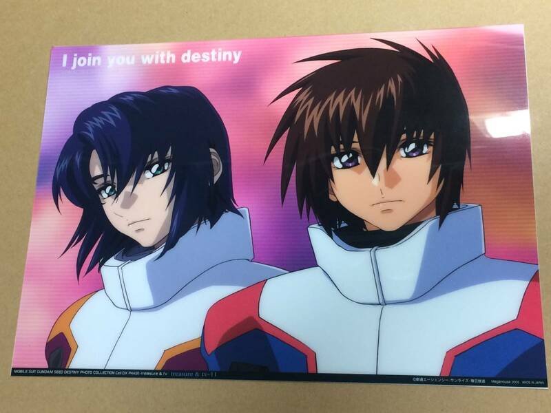 機動戦士ガンダムSEED DESTINY フォトコレクション CellDX PHASE-treasure＆tv キラ・ヤマト アスラン・ザラ セル画