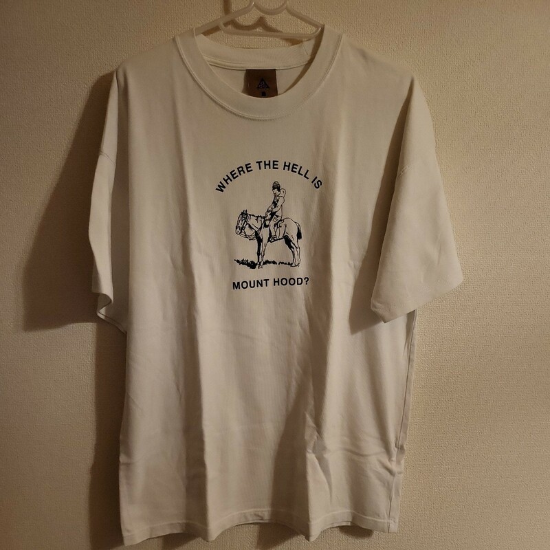 ACG NIKE ナイキ　エーシージー　Tシャツ　半袖