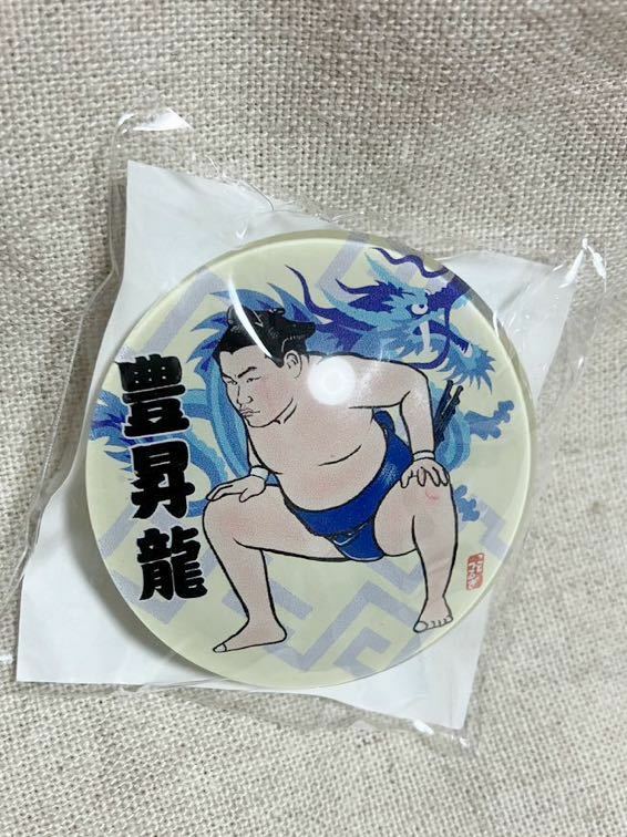 新品 マグネット 美品 レア 未開封 未使用 立浪部屋 両国国技館 限定 豊昇龍　力士　お相撲さん　大相撲　　大関