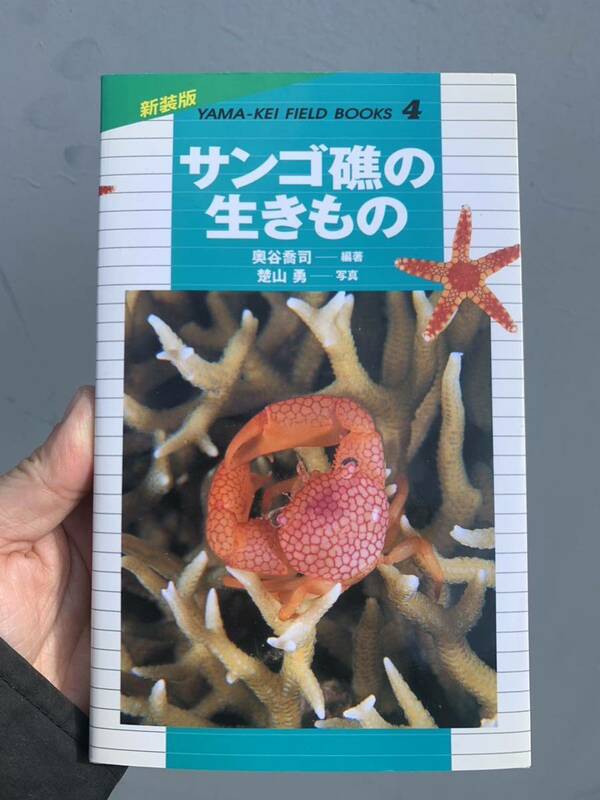 サンゴ礁の生きもの　山渓　新装版　新品　本　図鑑