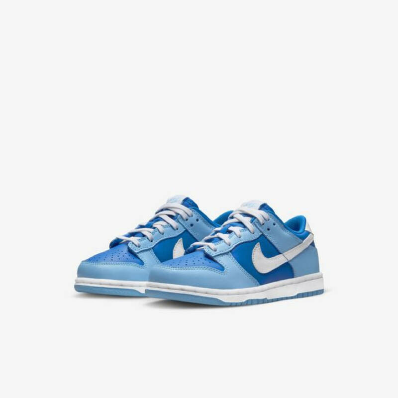 ナイキ ダンク ロー レトロ QS PS 22cm DV2635-400 NIKE NIKE DUNK LOW RETRO QS PS 子供靴 キッズ