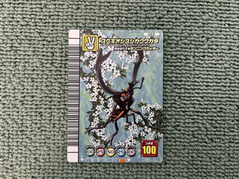 甲虫王者ムシキング 5周年コレクションカード第1弾 スペキオシスシカクワガタ