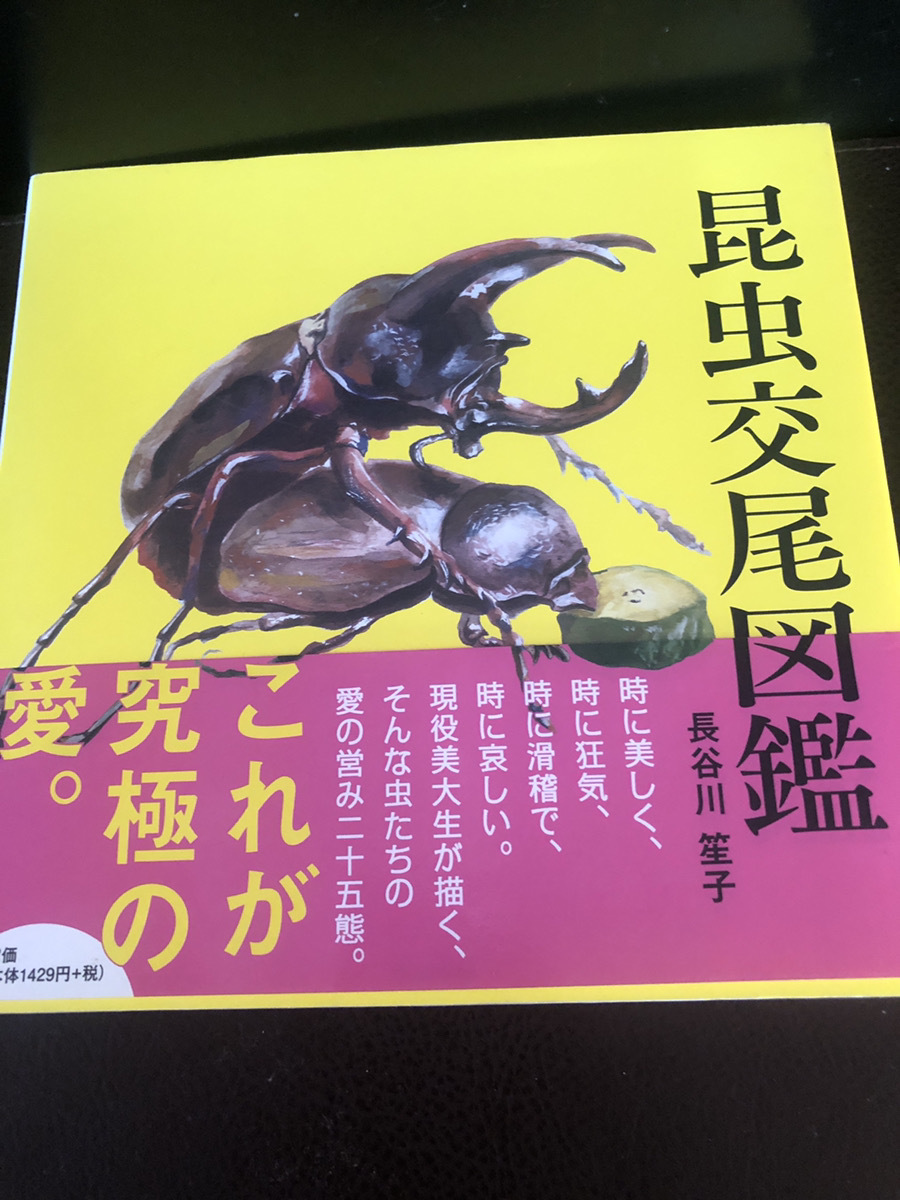 【昆虫交尾図鑑・長谷川笙子】愛の営み二十五態　　究極の愛　2013年【23/11 ST-SIDE】