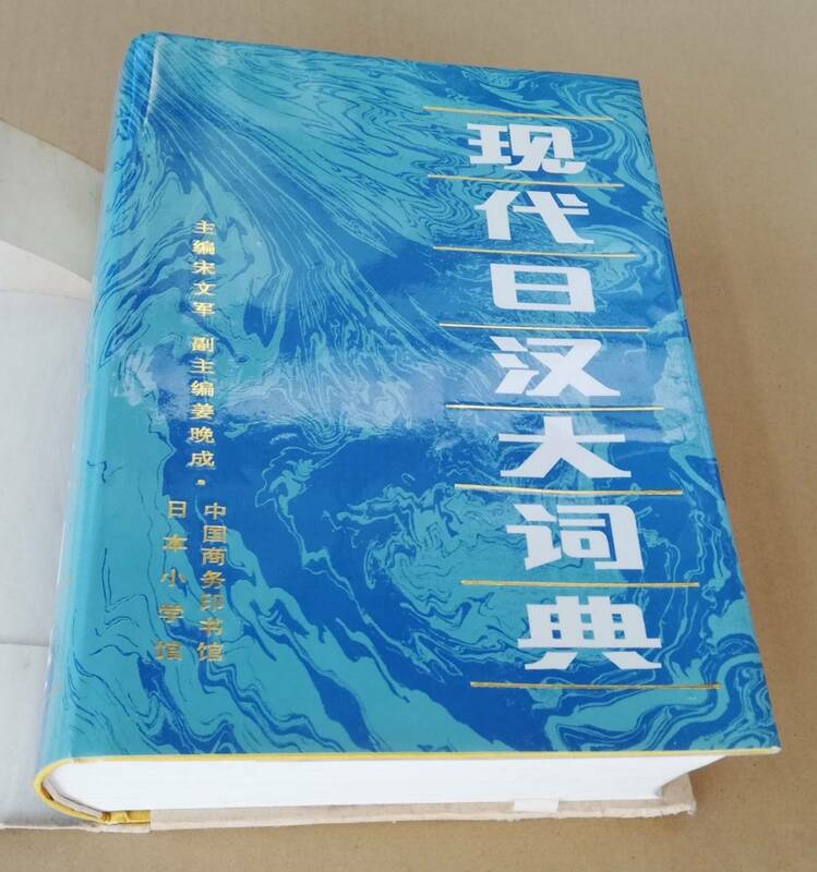 日中辞書　（大）