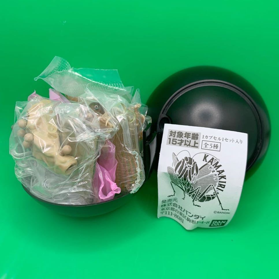 リアル 精密 いきもの大図鑑 かまきり おおかまきり 褐色型 フィギュア ガシャポン ガチャ カプセルトイ カマキリ 昆虫 バンダイ