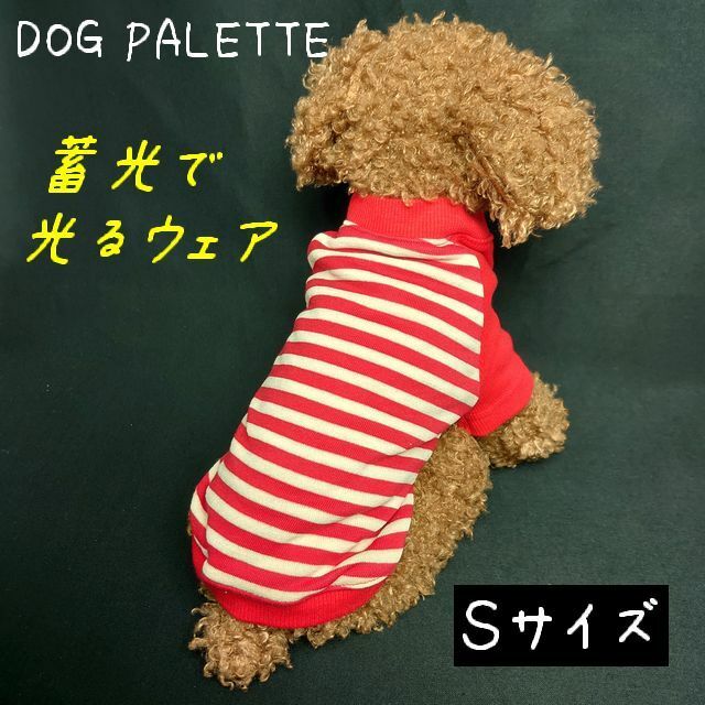 DOG PALETTE / ドッグパレット　蓄光で光るTシャツ！　Sサイズ （胴囲33）　レッド　ボーダー