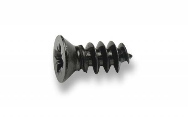 Voile binding mounting screw　3/4もしく5/8 ボレー　ビンディング用　取り付けビス