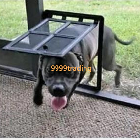 網戸専用ペットドア ブラック 新品 犬猫出入り口 中,大型犬用 簡単設置 即納 網戸の開閉不要 ロック可能 格安