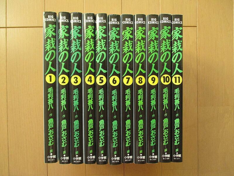 家裁の人　1～1１巻　1１冊セット　毛利甚八　魚戸おさむ　ビッグコミックス　小学館