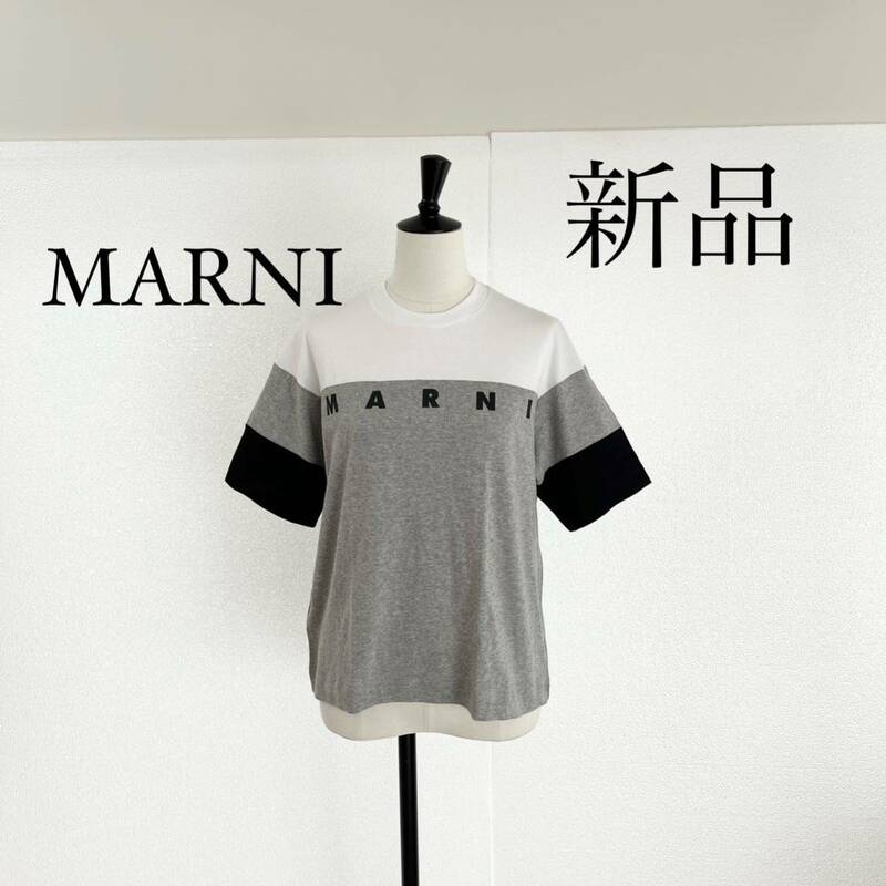 MARNI マルニ　ロゴ入り 半袖Tシャツ　カットソー　グレー　XSサイズ