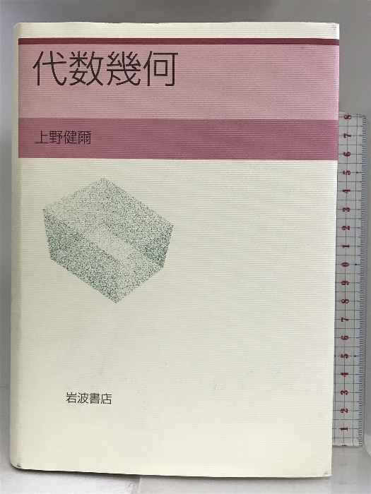 代数幾何 岩波書店 上野 健爾