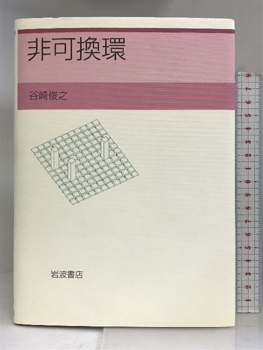 非可換環 岩波書店 谷崎 俊之