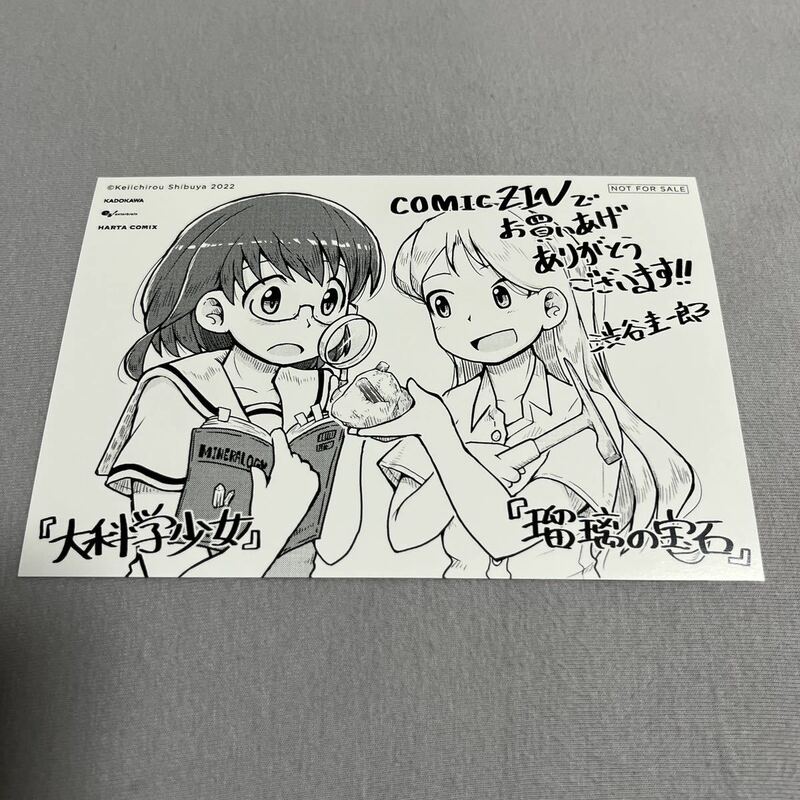 【即決 美品】特典のみ 瑠璃の宝石 イラストカード comic zin 限定 非売品 ハルタコミックス KADOKAWA