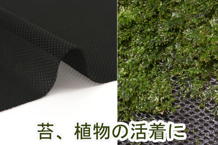 ハイグロロン 50×100ｃｍ　1枚　ブラック　着生植物　苔パルダリウム　テラリウム　ビバリウム　保水