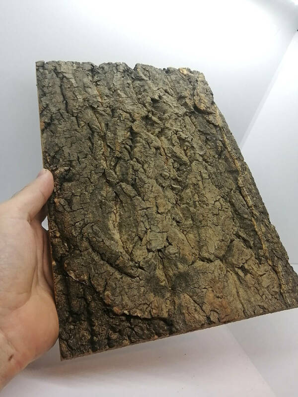 特殊コルク　2層　1枚　樹皮　コルク板　20×30ｃｍ（厚約15-20ｍｍ前後）洋蘭　原種　　platycerium　ビカクシダ　ラン　コルク
