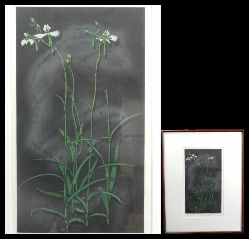 織田繁 Les fleurs des champs 静物画 銅版画 メゾチント 額装 ② w230727