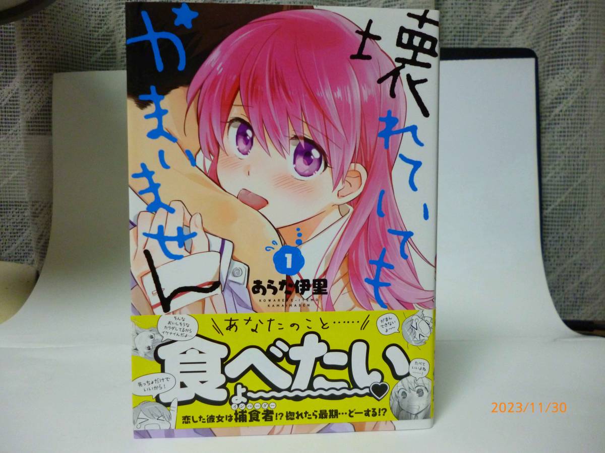 ☆壊れていてもかまいません☆1巻☆あらた伊里・著☆帯付き☆イラストカード付き
