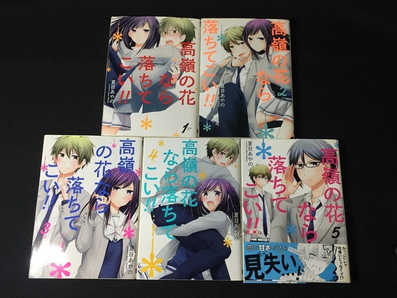 【高嶺の花なら落ちてこい!!1-5巻セット《中古▲》オール初版】〈青年コミック〉/s6