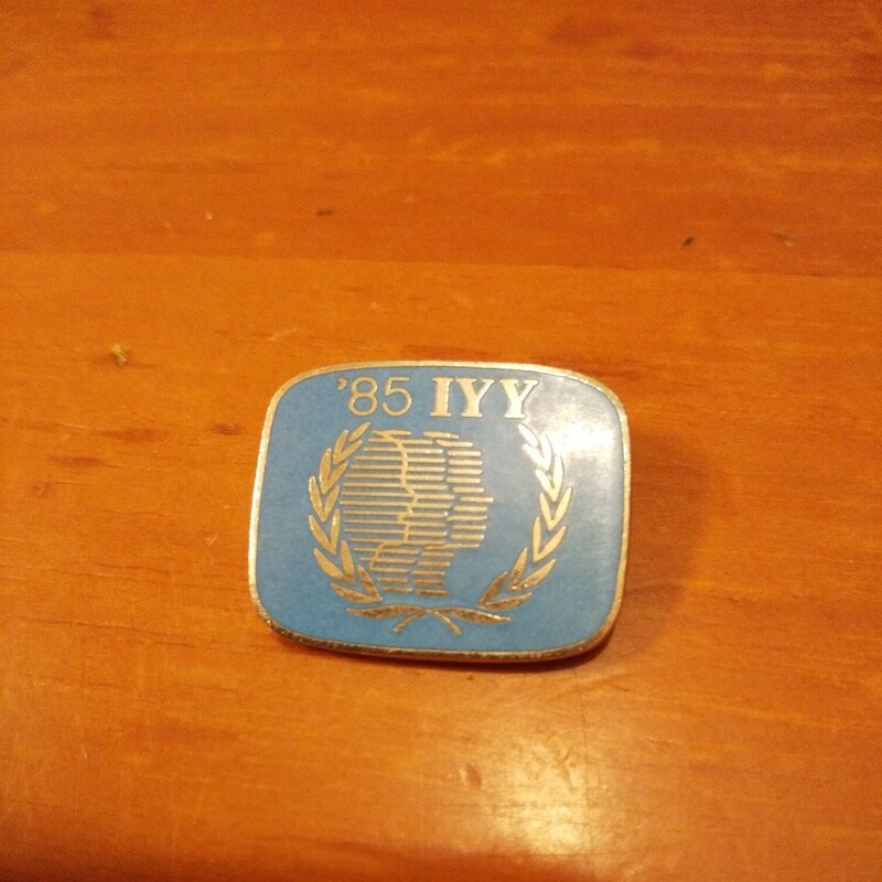 1985年 国際青年年 バッジ 国際連合