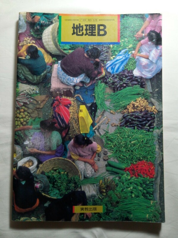 90s☆ダンボール補強・防水対策発送☆地理B☆高等学校☆教科書☆1冊☆実教出版株式会社☆文部省検定教科書☆