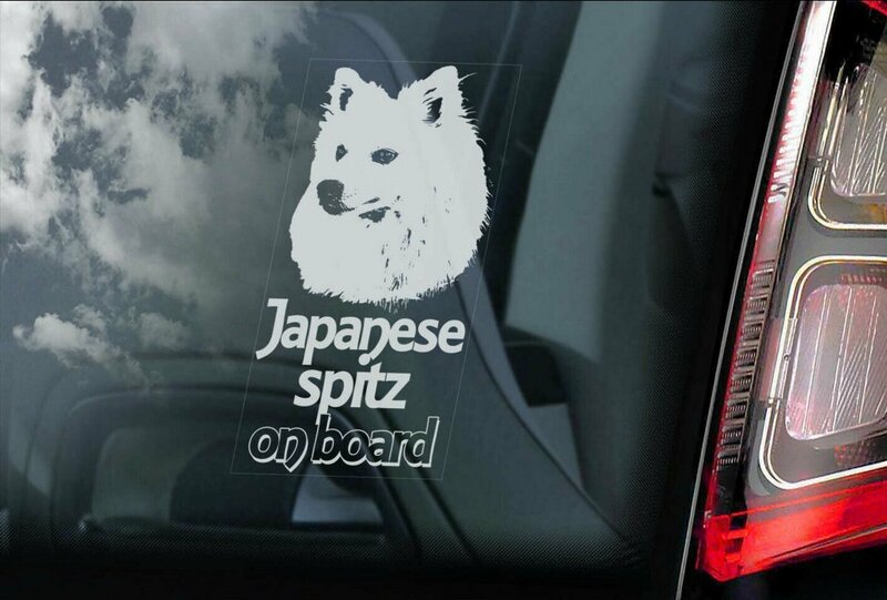 ◆ジャパニーズ スピッツ/日本スピッツ 外張り カーステッカー 20x10cm 外貼り カー ステッカー シール@DOG ON BOAD@D2 犬 3030