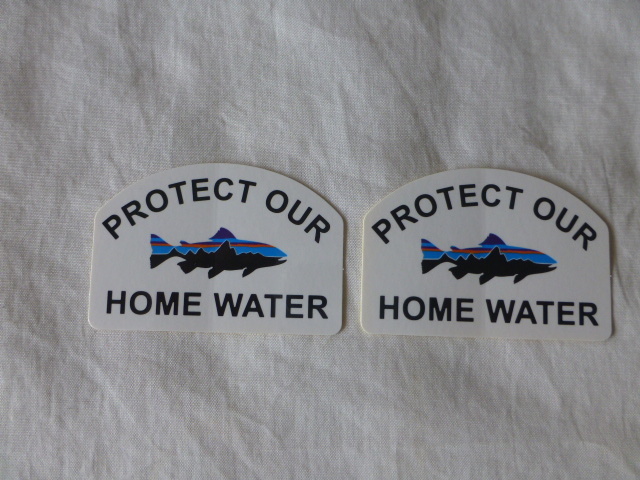 patagonia PROTECT OUR Fitzroy HOME WATER ステッカー※2枚セット※Fitzroy Trout フィッツロイトラウト パタゴニア PATAGONIA patagonia