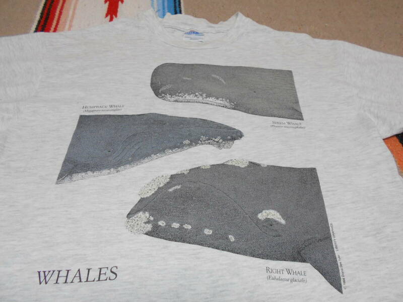 １９９４年製 クジラ 鯨 くじら シロナガス Tシャツ HANES BEEFY ヘインズ MADE IN USA VINTAGE ビンテージ RIGHT SPERM HUMPBACK WHALE 