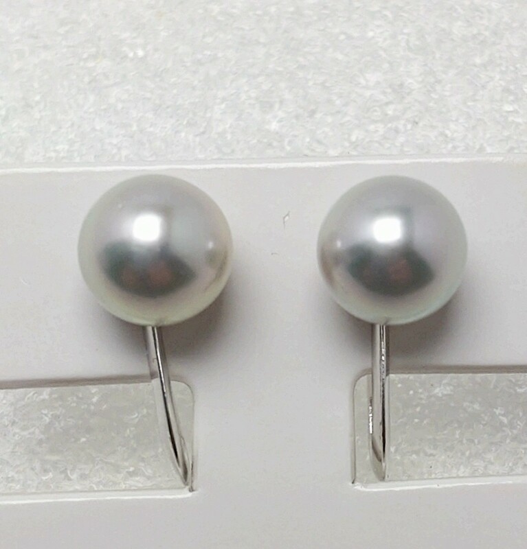 ∮真珠専門館∮ アコヤ真珠 イヤリング 7.1mm グレー SV 大特価 (税込み価格)