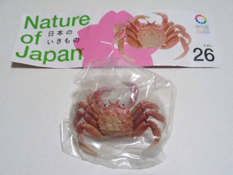 日本のいきもの 03 26 ケガニ カニ ネイチャーテクニカラー Nature of Japan ガチャ 未使用 キタンクラブ 生き物 ミニフィギュア