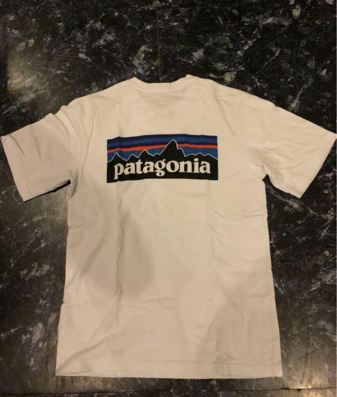 パタゴニア Patagonia tee Tシャツ ロゴ LOGO