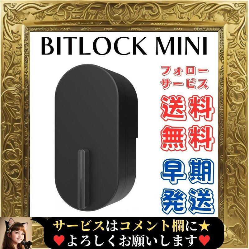 ☆未使用☆ bitlock MINI ビットロックミニ ブラック 防犯対策