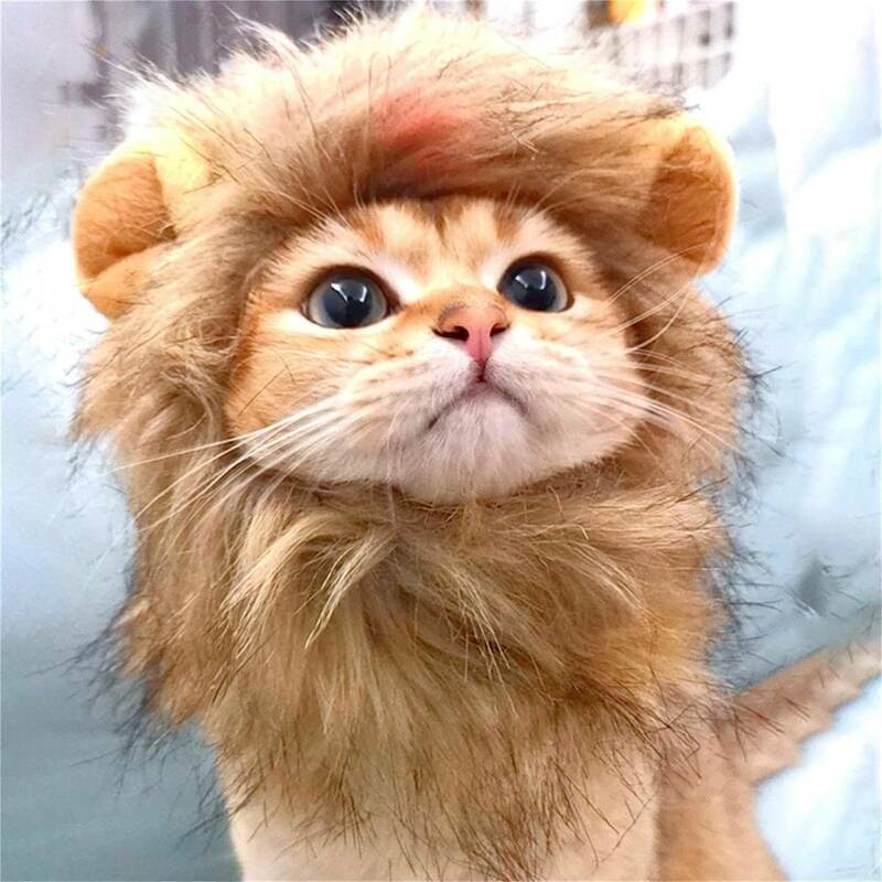 ペット用帽子 冬物　動物ファッション　かつら　面白い　猫　犬　ネコ　ライオン　衣装用　変身服　出掛け