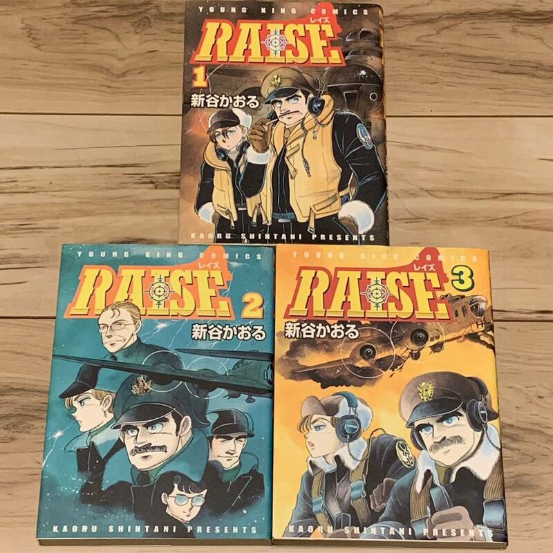 完結set 新谷かおる RAISE レイズ YKコミックス