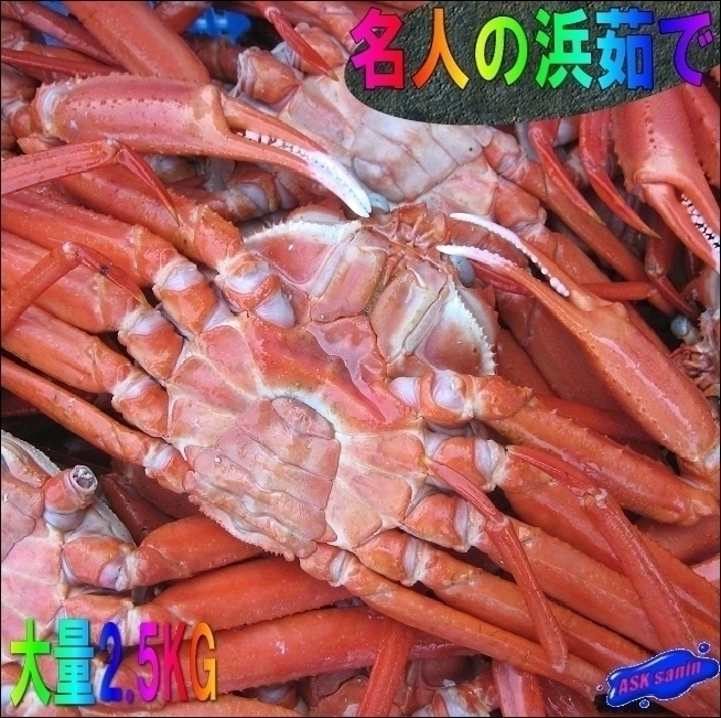 【釜揚げ直送】「浜茹で蟹/特選6尾位で2.5kg」　(紅ずわい蟹)
