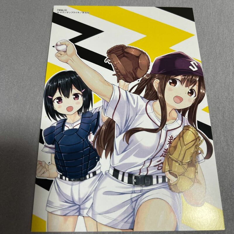 【即決 美品】特典のみ 球詠 6巻 イラストカード comic zin 限定 非売品 たまよみ マウンテンブクイチ