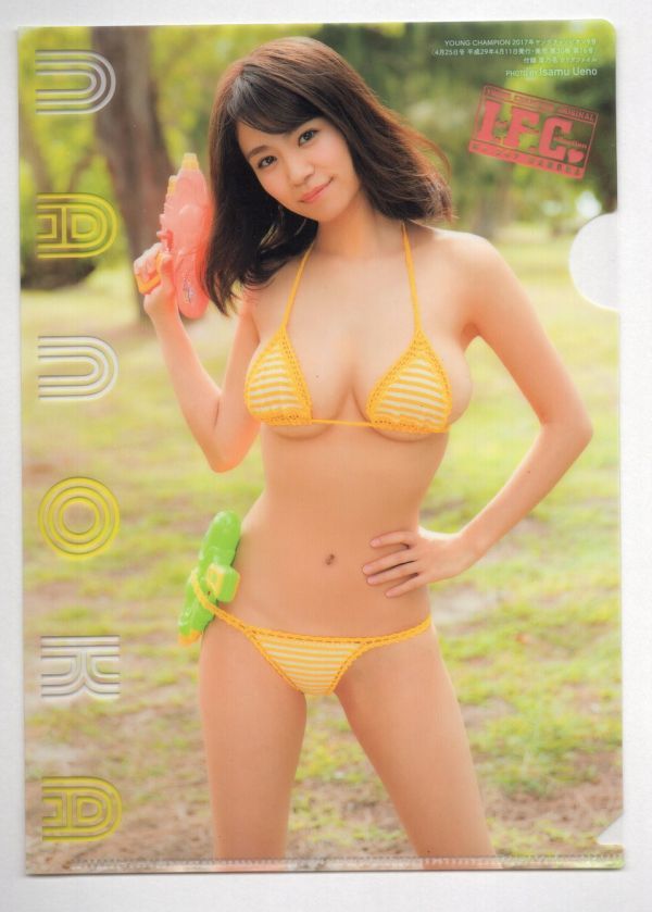 ■Ｂ５クリアファイル■ヤングチャンピオン２０１７年９号付録　Ｉ．Ｆ．Ｃ．Ｎｏ．２４７■菜乃花■中古■