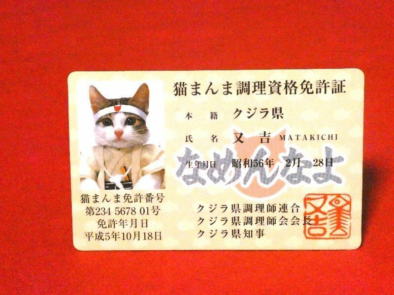 なめ猫　なめねこ　TradingCard　カードトレカ　パロディカード　猫まんま調理師資格免許証