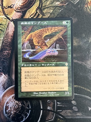 MTG　疾風のマングース　日本語版　1枚まで