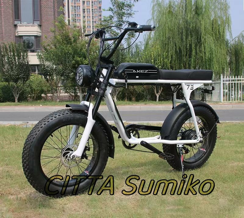 極上品 美品登場☆ レトロな電動自転車E-BIKE 20x4.0インチ 36V 350W 13Ah s3rx リチウム電池 モトクロス
