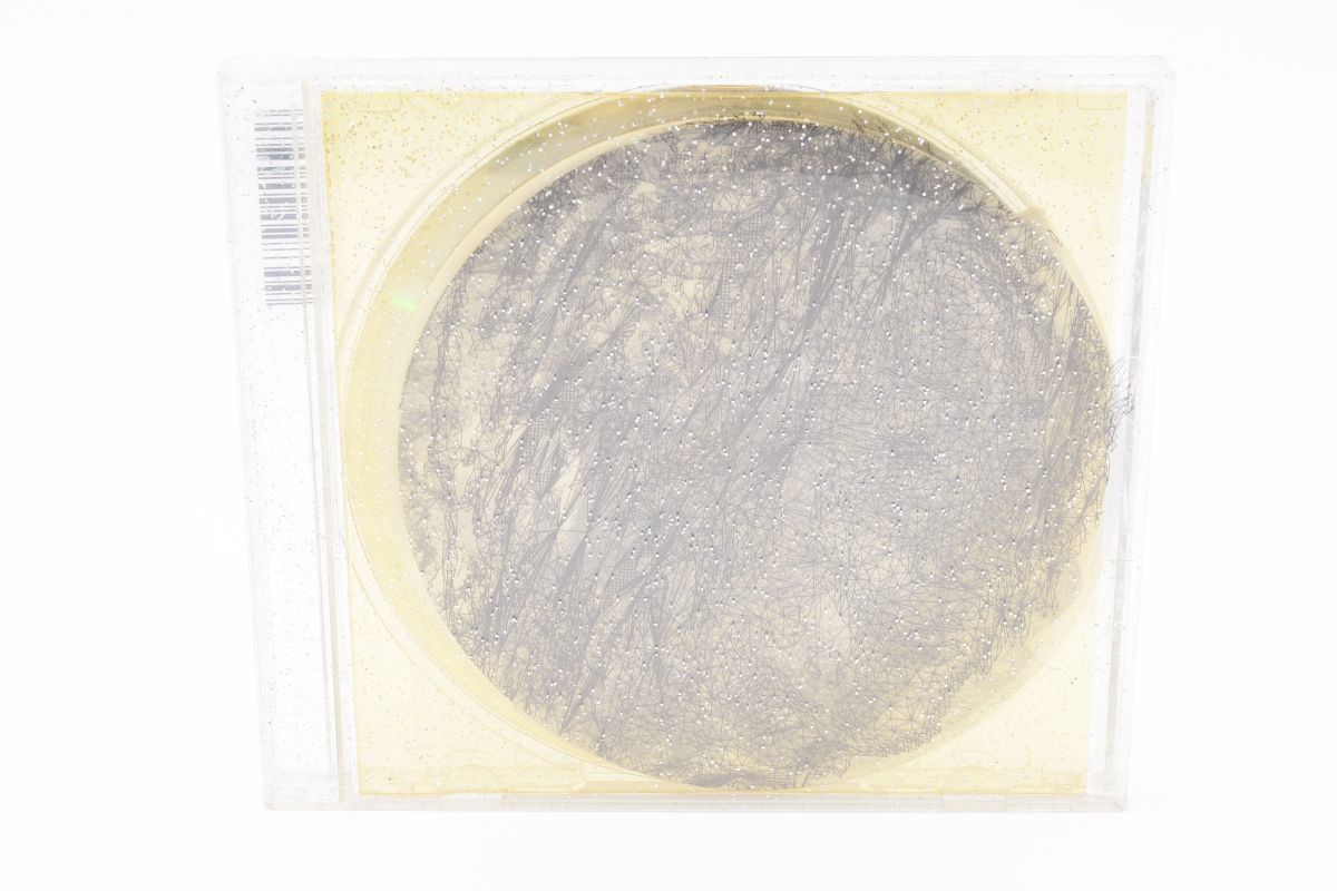 CD215★ L'Arc～en～Ciel　ray　CD　